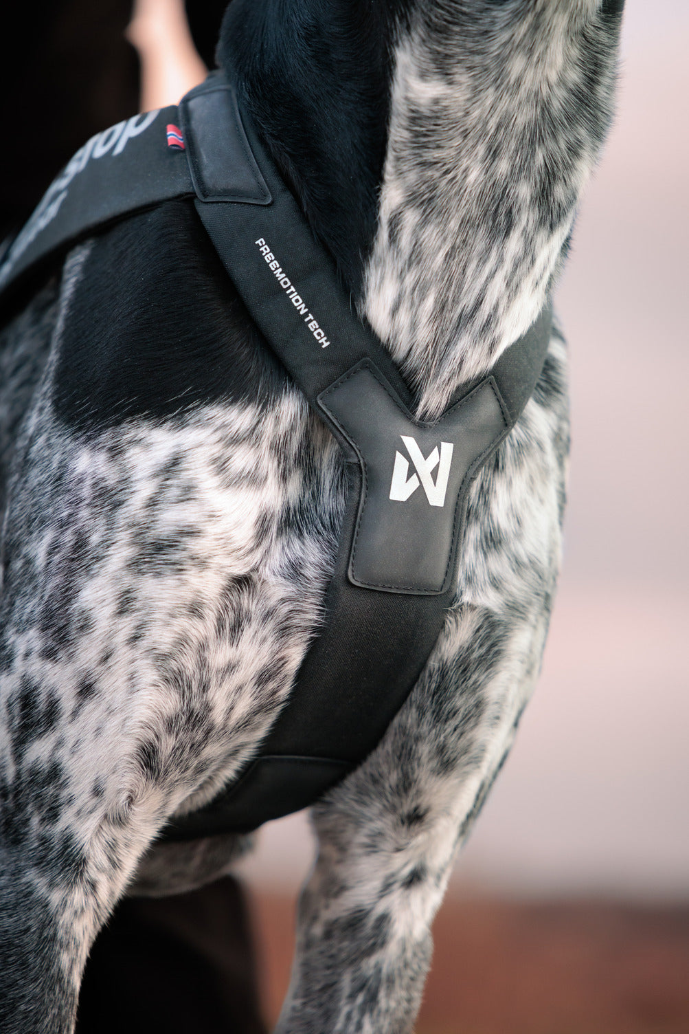 Freemotion harness pro (8)