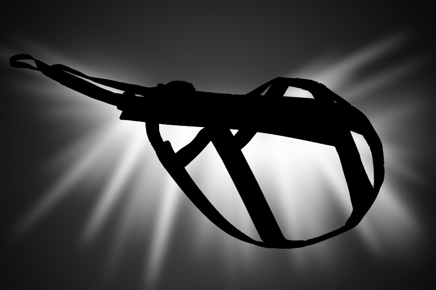 Freemotion harness pro