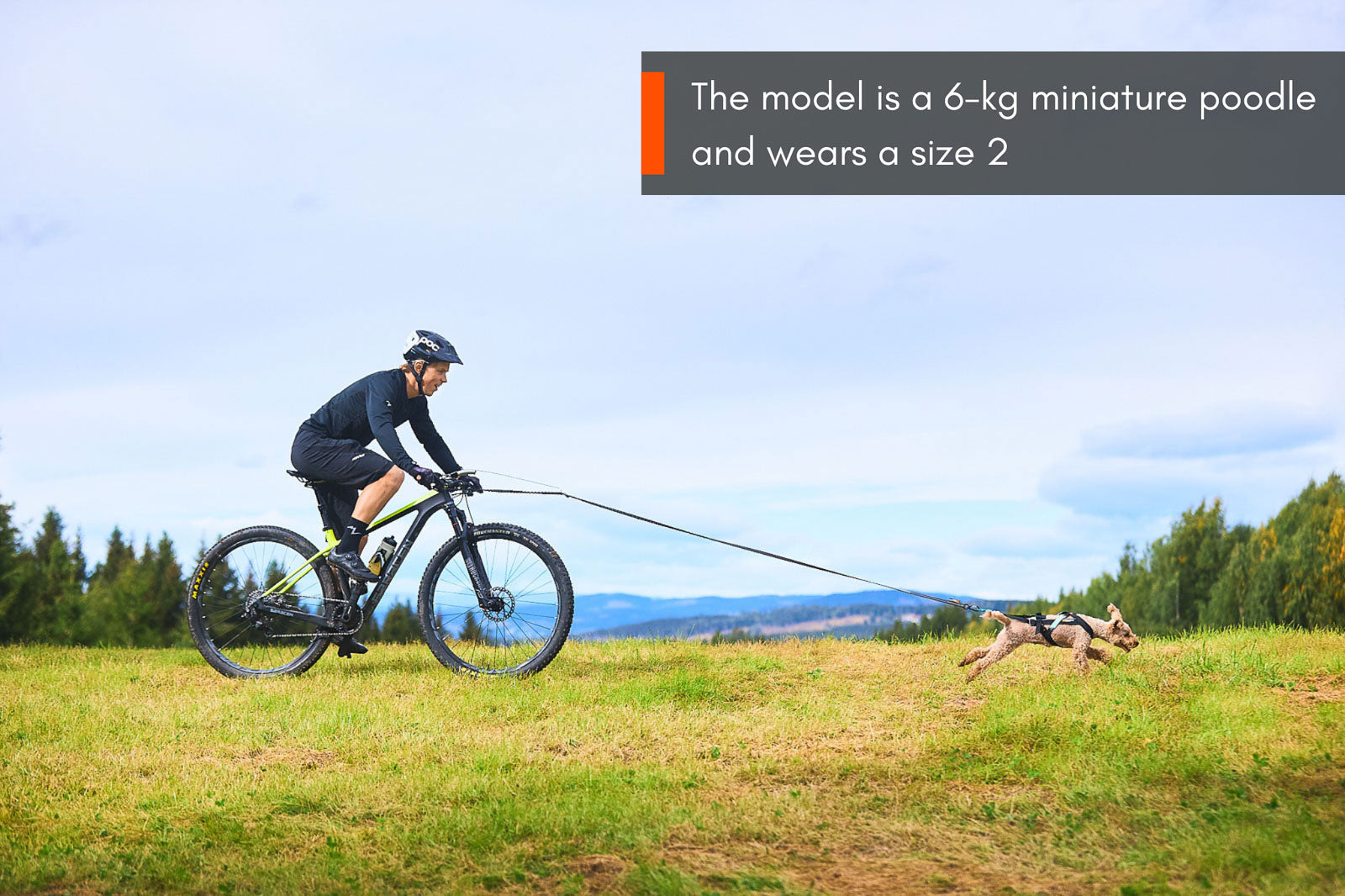 Dog joring harness Freemotion harness – Non-stop dogwear