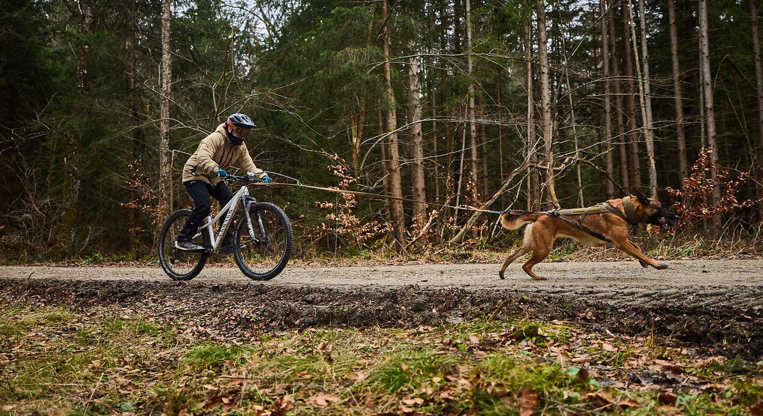 Working dog pulling harness Freemotion harness WD – Non-stop dogwear