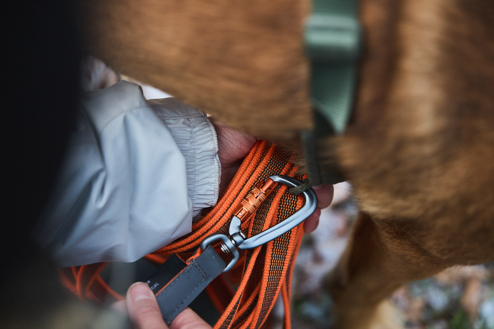 Dog long line Friction long line – Non-stop dogwear