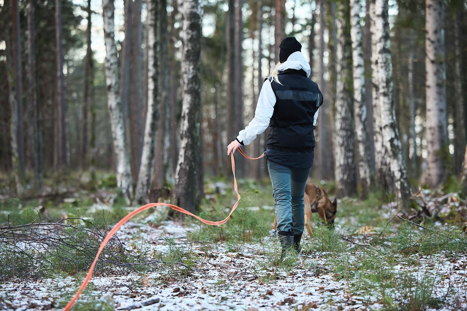 Elropet Flex Fährtenleine – 40 M Schleppleine Mit Ruckdämpfer Für Hunde, Navajo, 20 Mm Breite