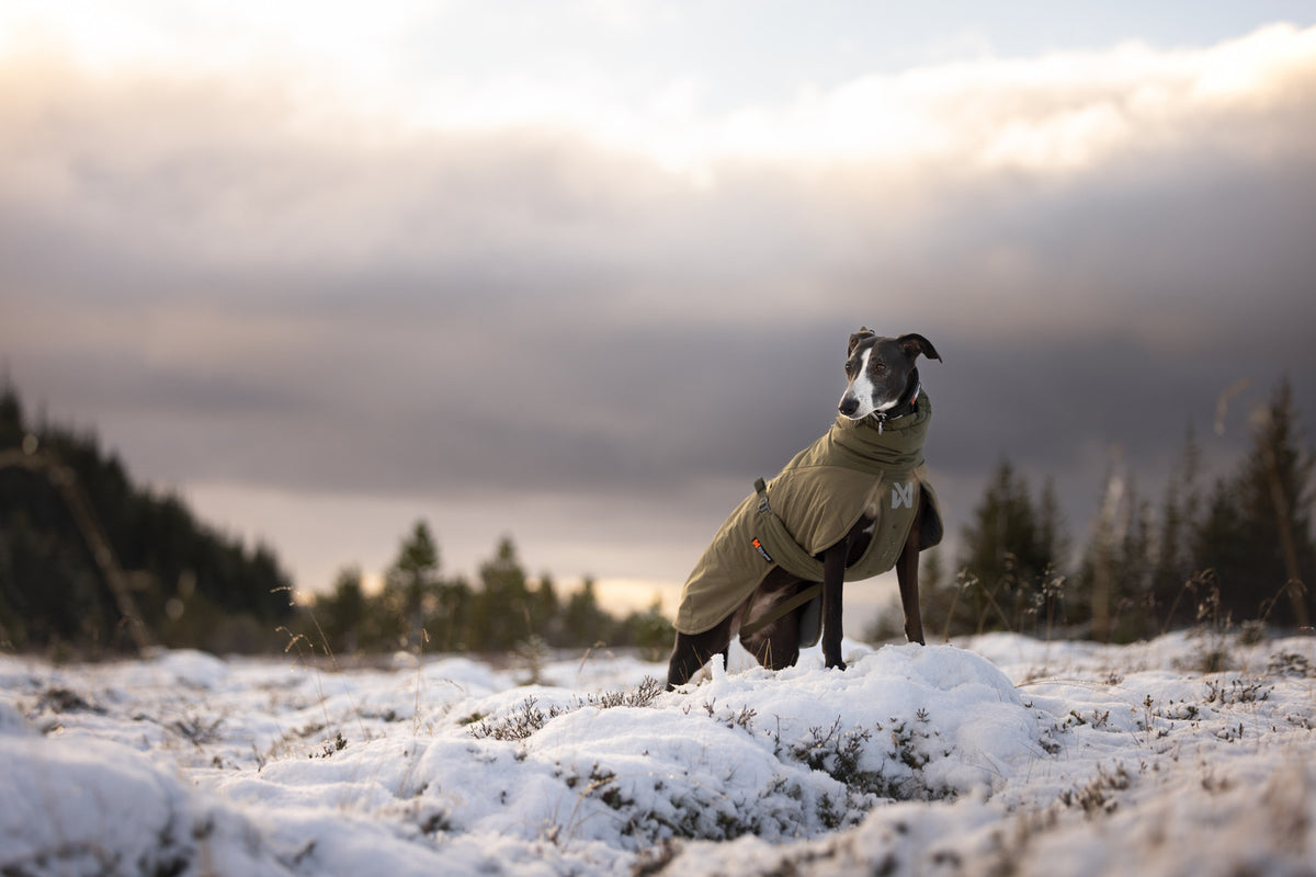 Glacier wool jacket 3.0 (12)
