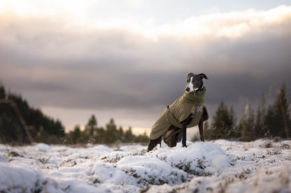 Glacier wool jacket 3.0 (12)