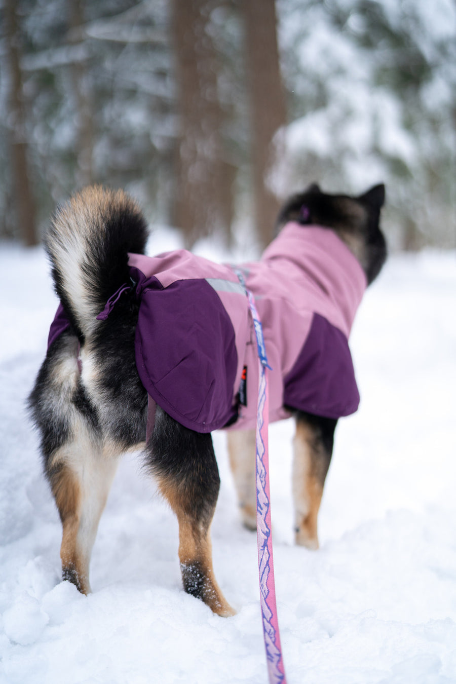 Glacier jacket 3.0 (6)