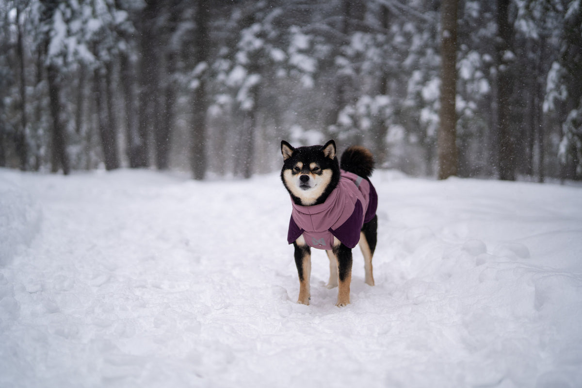 Glacier jacket 3.0 (5)