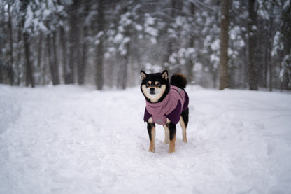 Glacier jacket 3.0 (5)