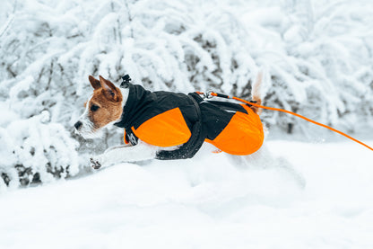 Glacier jacket 3.0 (4)