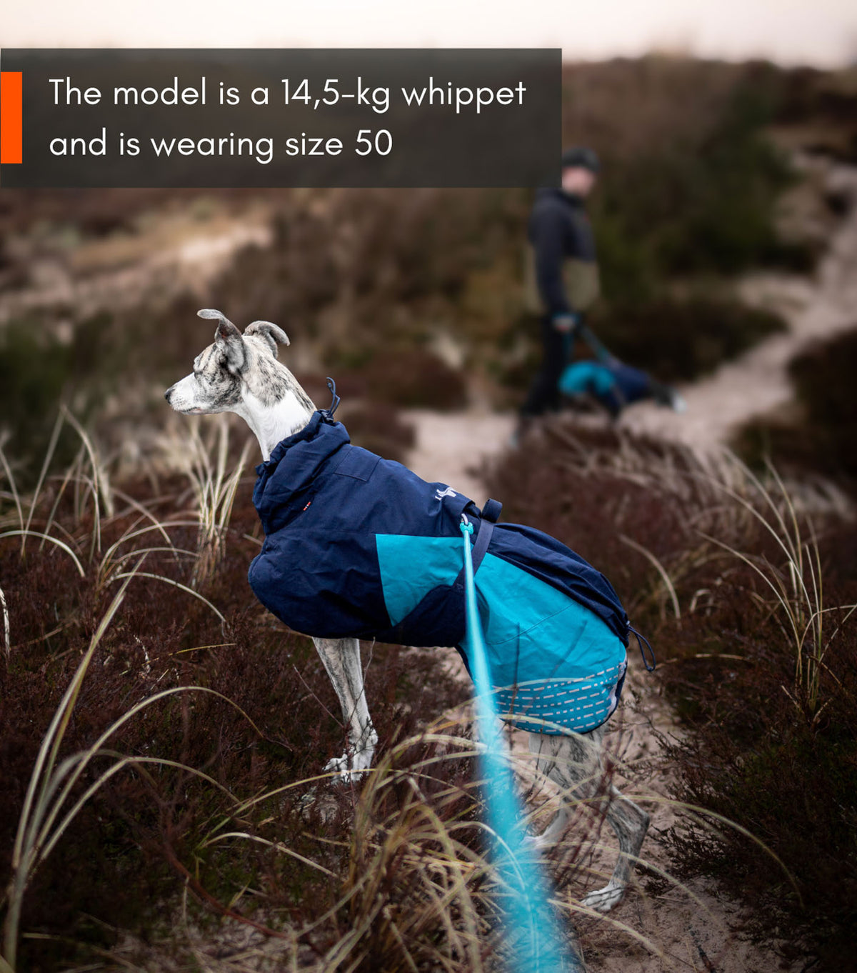 Insulated dog jacket | Glacier jacket 2.0 – Non-stop dogwear