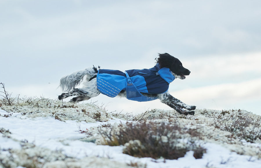 Glacier jacket (5)