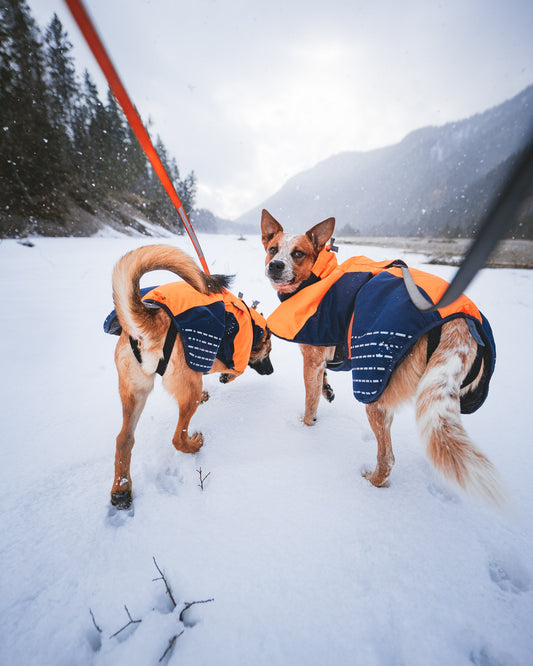 Glacier jacket (1)