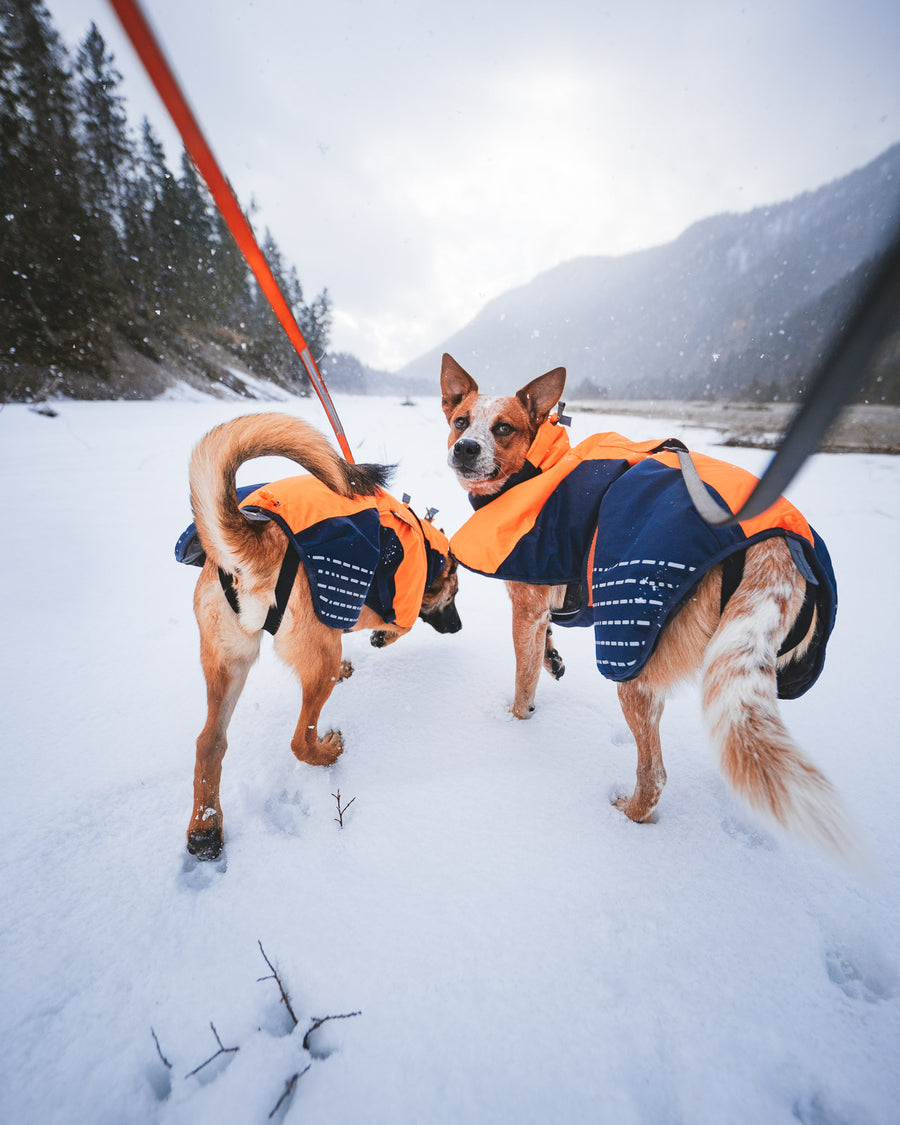Glacier jacket (1)
