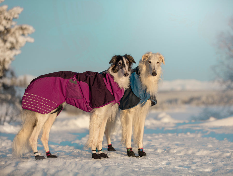Glacier jacket (4)