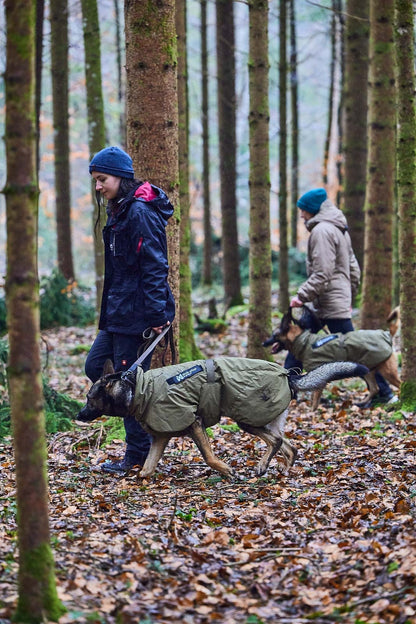 Glacier dog jacket WD (3)