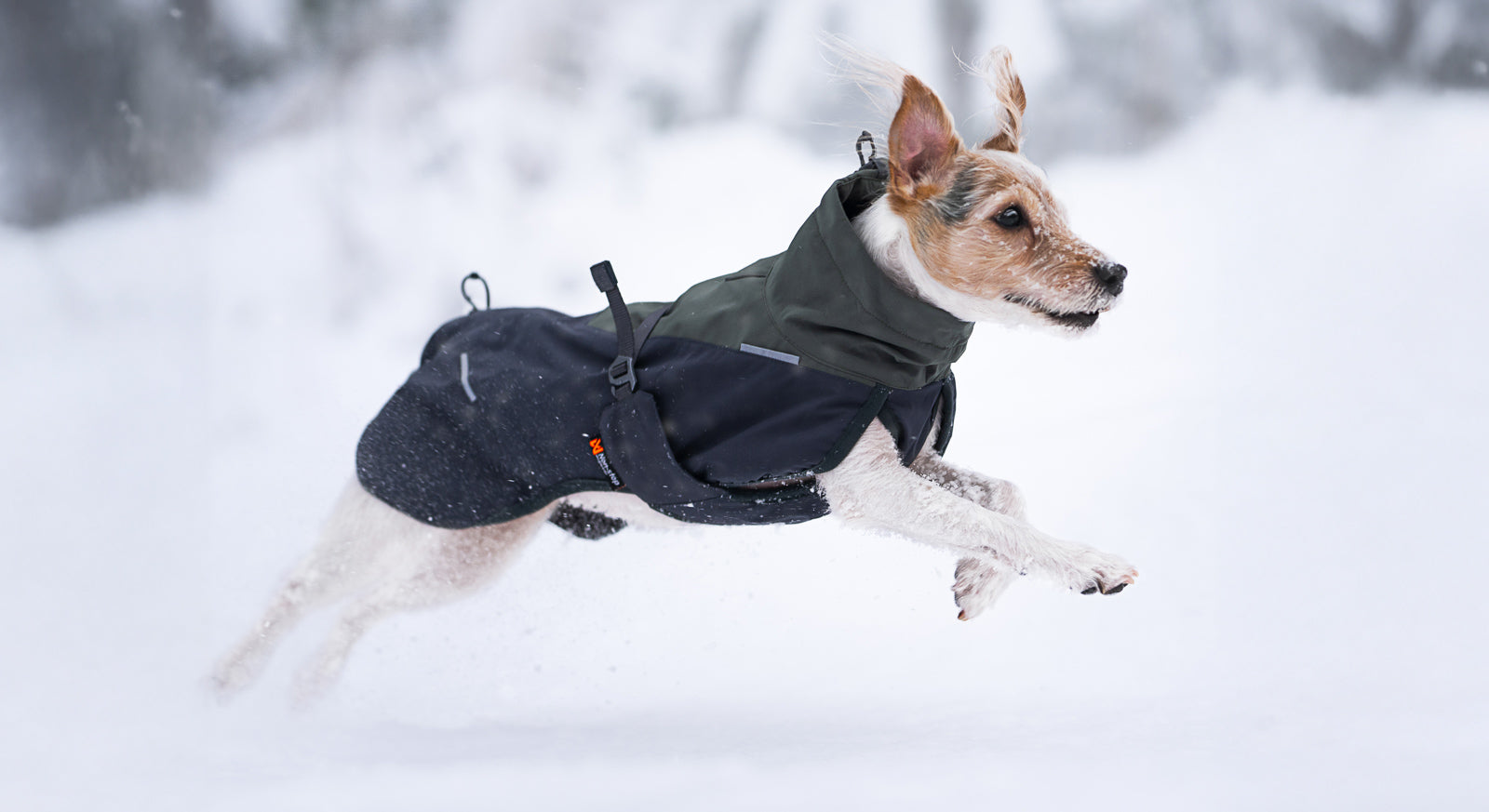Dog winter jacket | Glacier wool jacket 2.0 – Non-stop dogwear