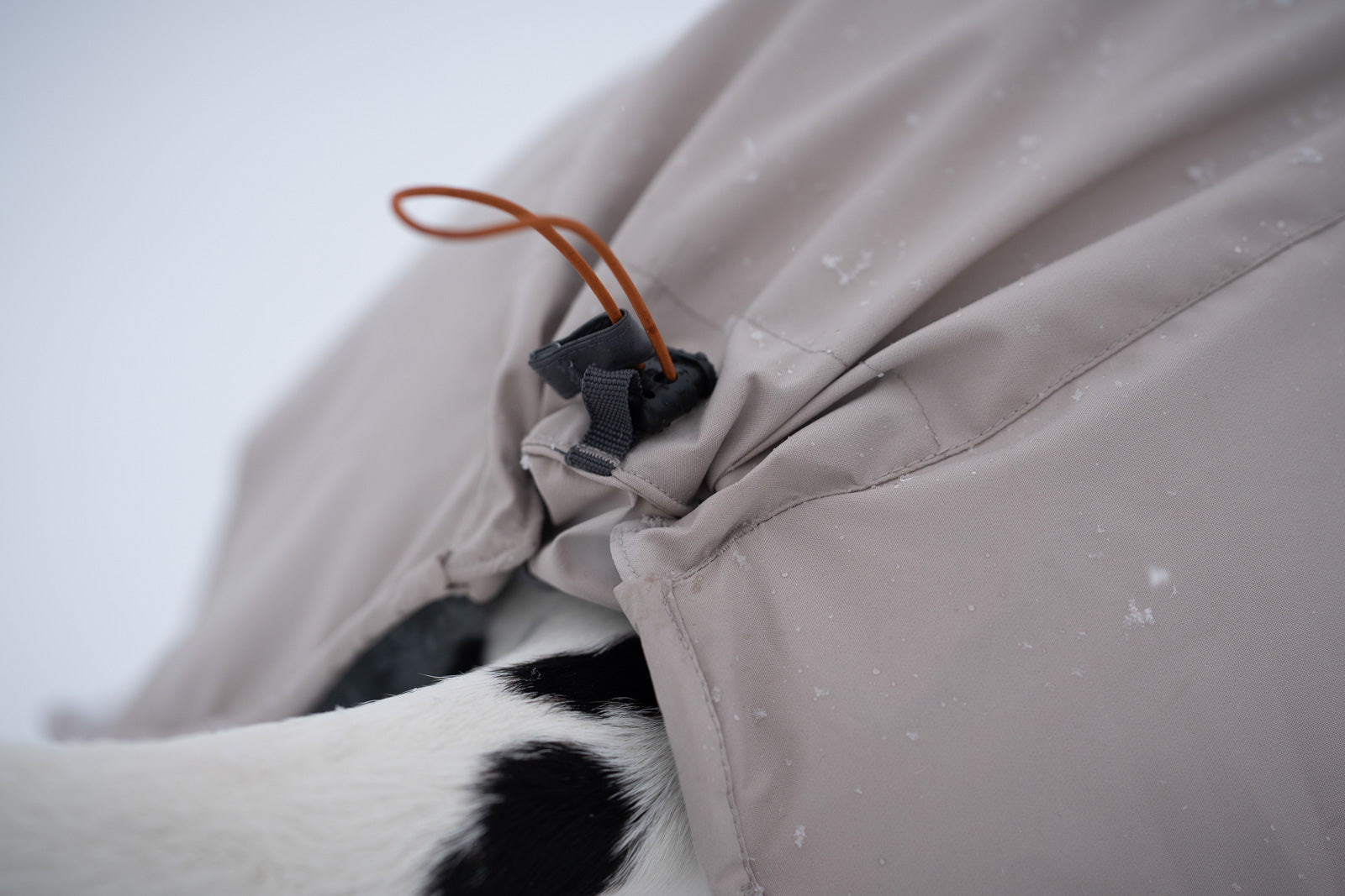 Dog winter jacket | Glacier wool jacket 3.0 – Non-stop dogwear