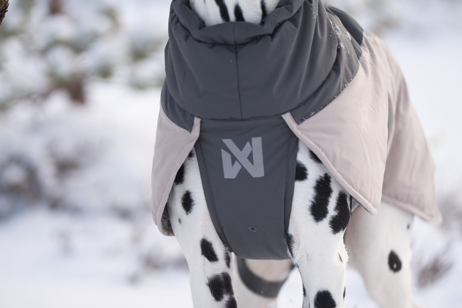 Dog winter jacket | Glacier wool jacket 3.0 – Non-stop dogwear