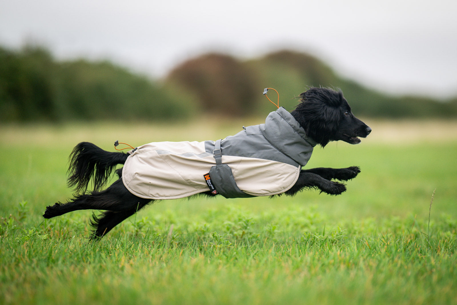 Dog winter jacket | Glacier wool jacket 3.0 – Non-stop dogwear