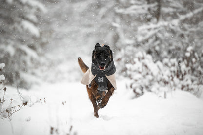 Glacier wool jacket 3.0 (4)