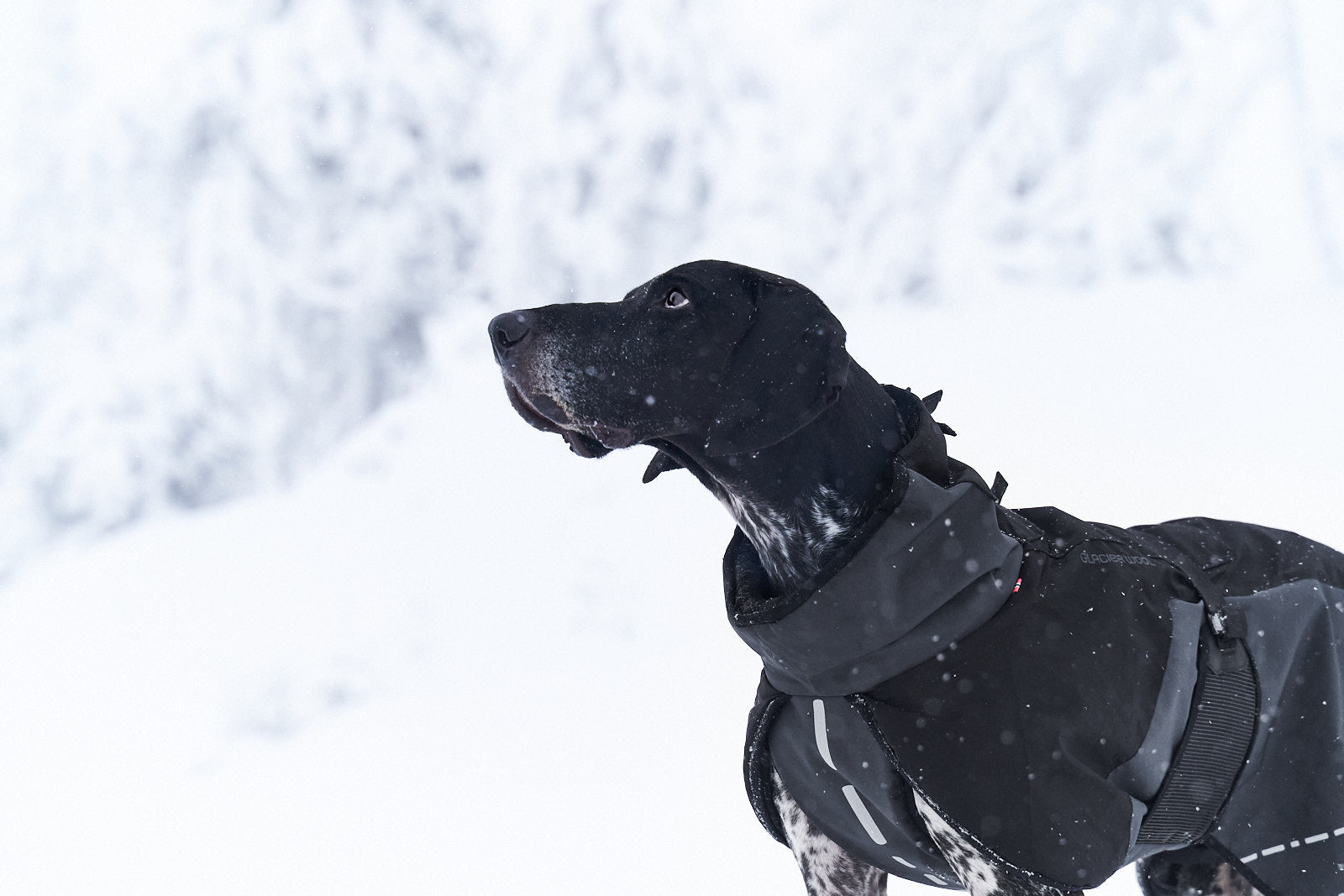 Glacier wool jacket (2)