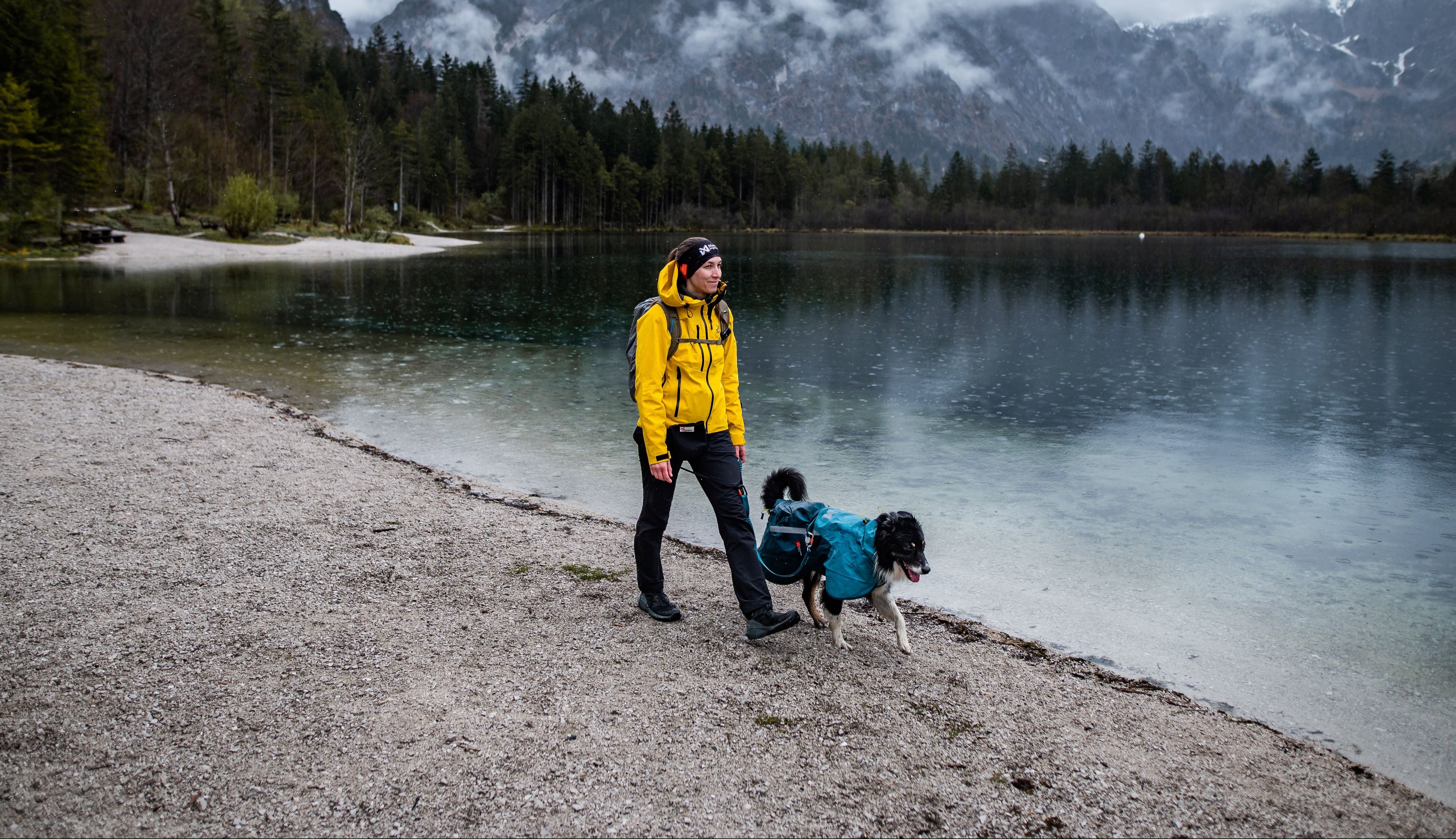 Unleash your potential | Non-stop dogwear