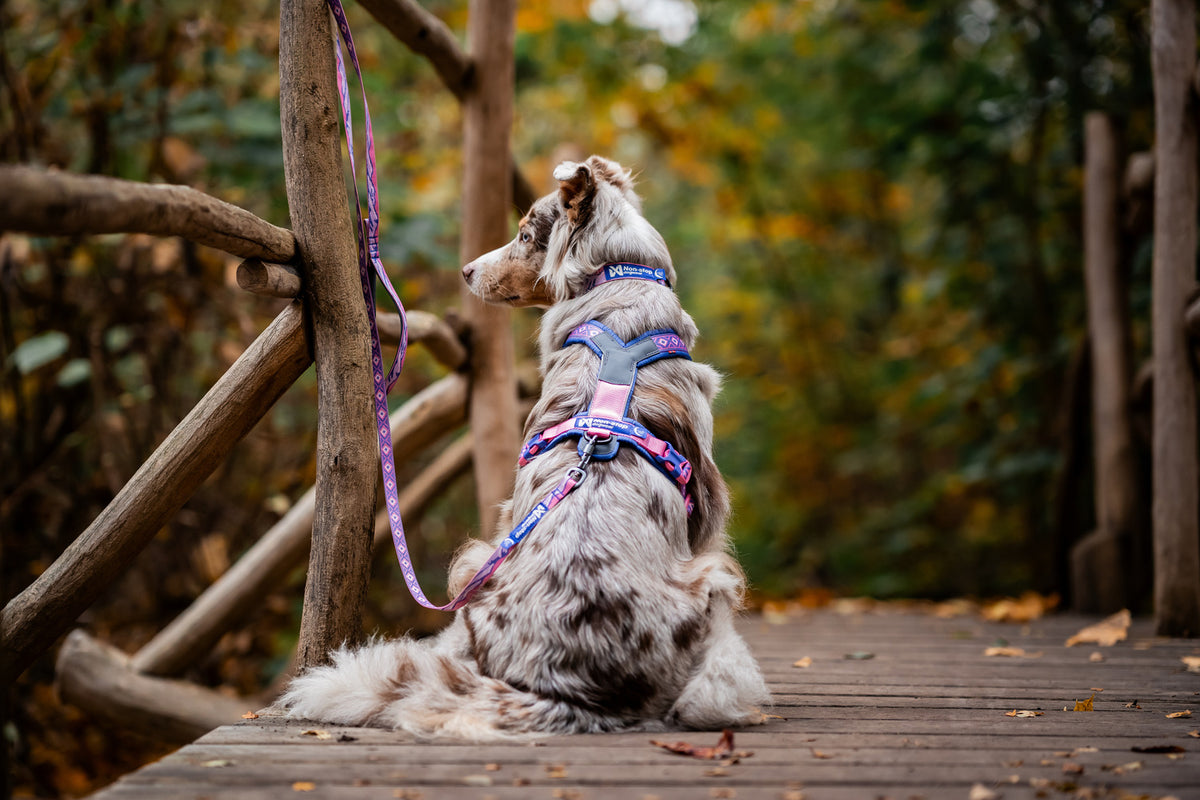 Line harness 5.0 Rachel Pohl edition (6)