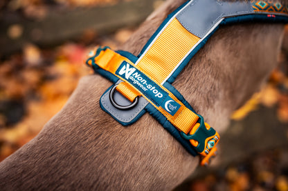 Line harness 5.0 Rachel Pohl edition (11)