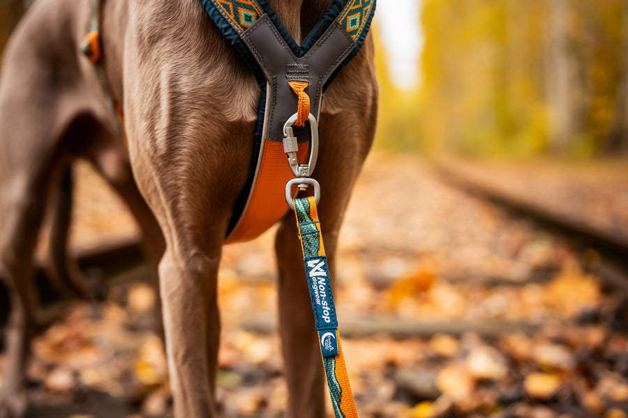 Trail quest leash Rachel Pohl edition (8)