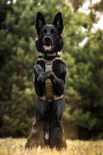 Line harness grip WD (6)