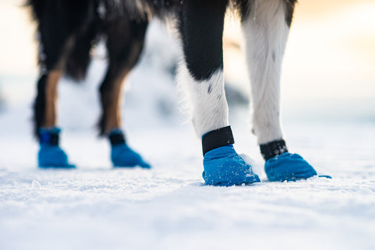 Long distance bootie (1)