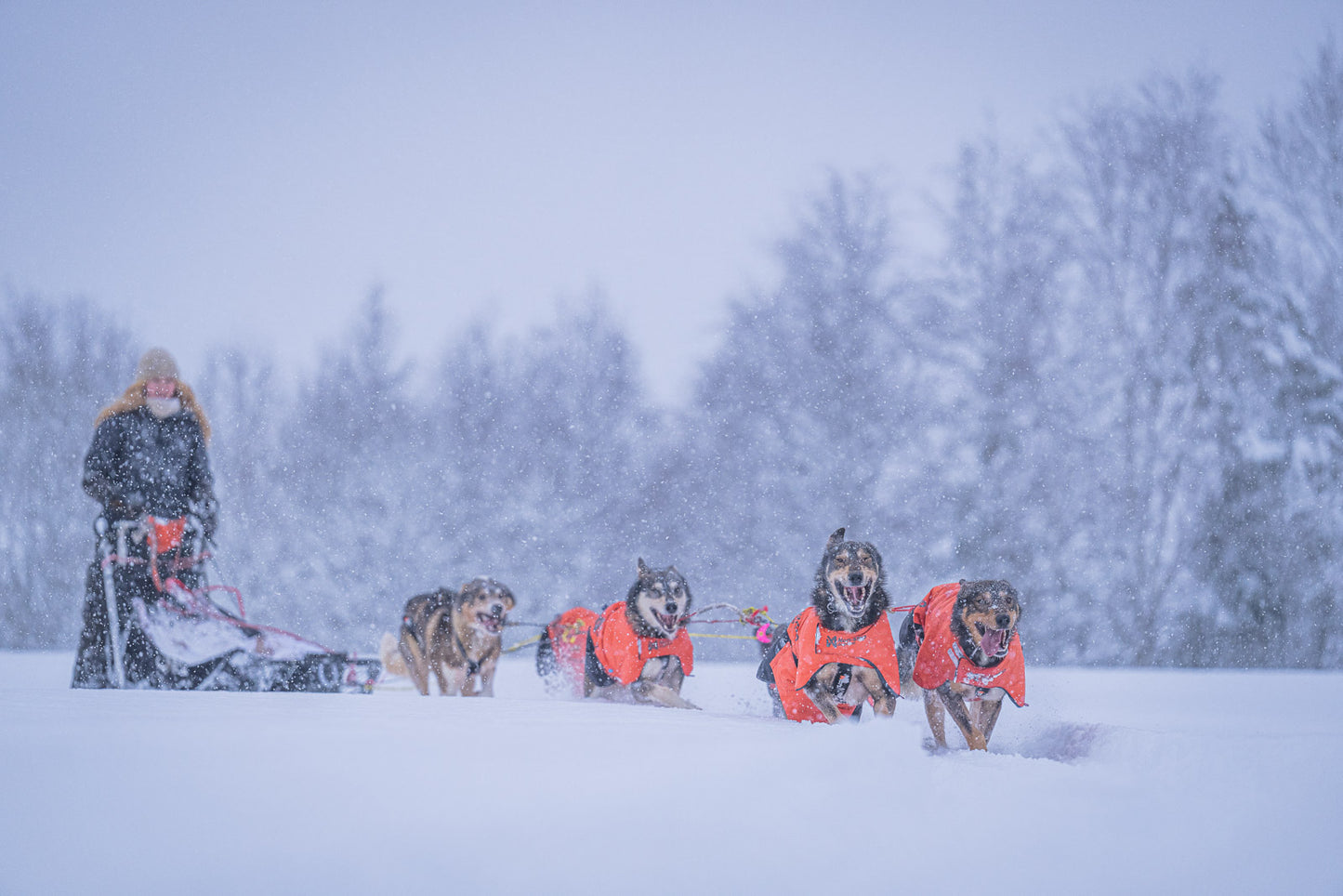 Long distance + jacket (1)