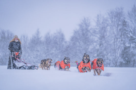 Long distance + jacket (1)