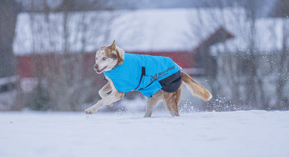 Long distance light jacket (3)