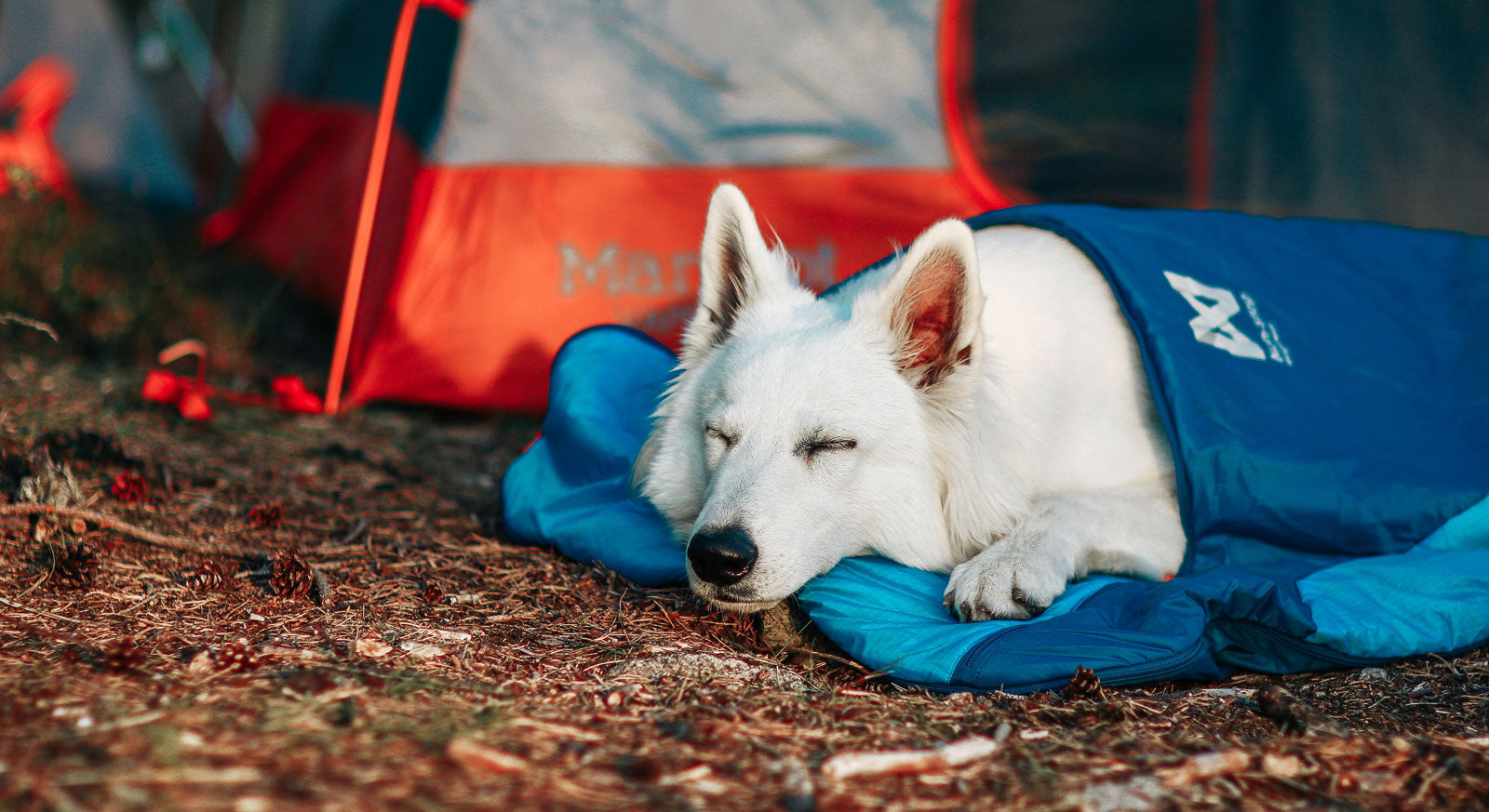 Dog sleeping bag | Ly sleeping bag – Non-stop dogwear