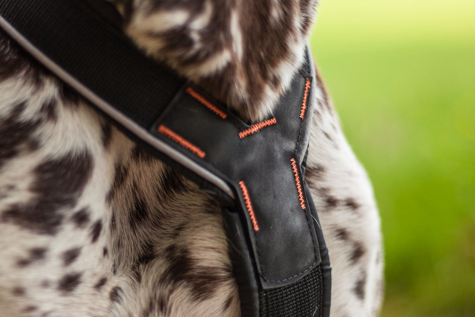 Nansen stick harness