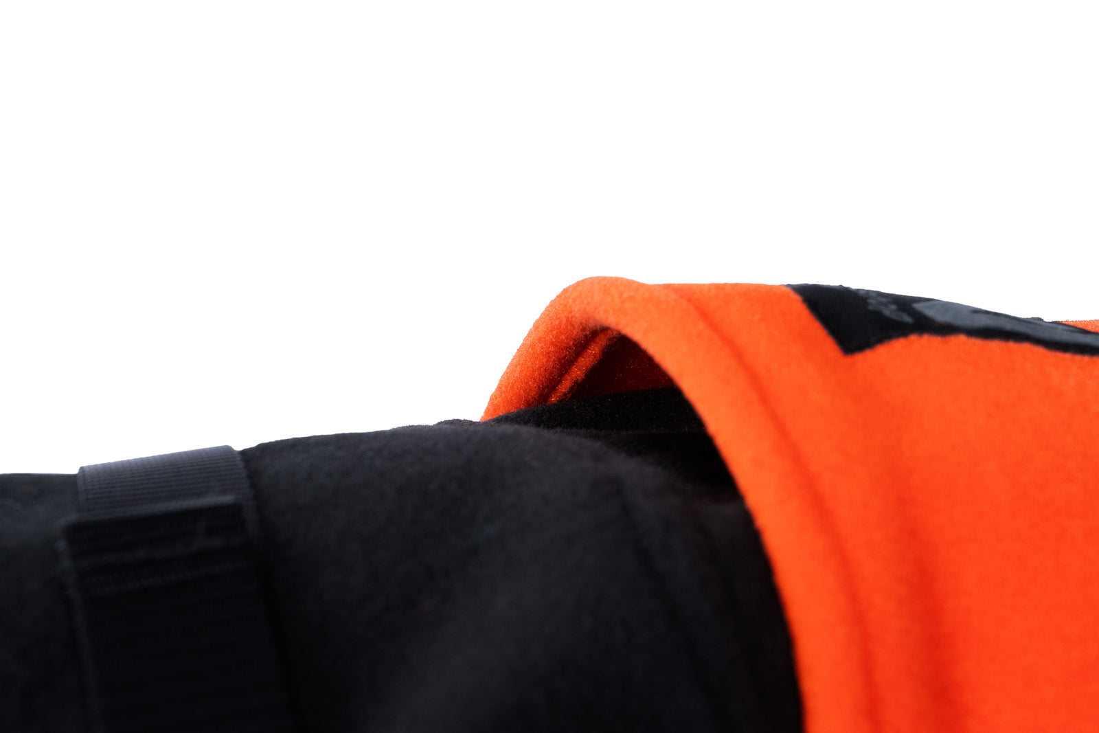Phoenix dog jacket