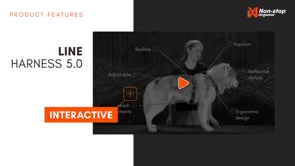 Line harness 5.0 (9)