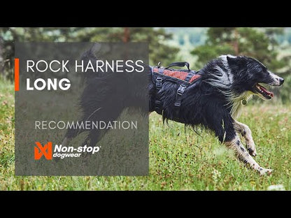 Rock harness long (4)