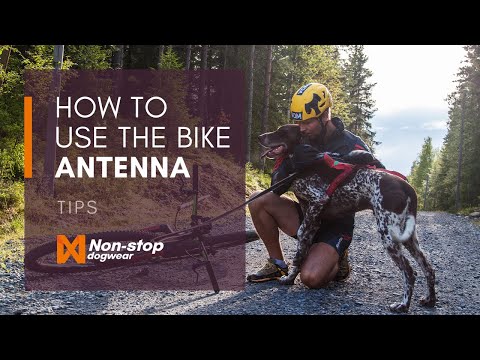 bike helmet antenna Dog bike attachment
