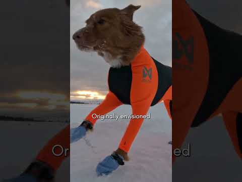 Dog fleece jacket | Phoenix dog jacket – Non-stop dogwear
