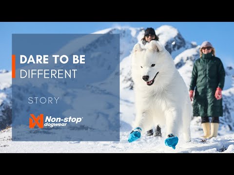 Freemotion harness 5.0 - limited edition (4)