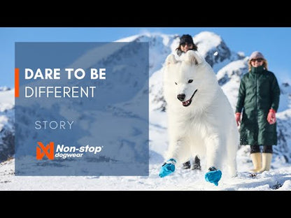 Freemotion harness 5.0 - limited edition (4)