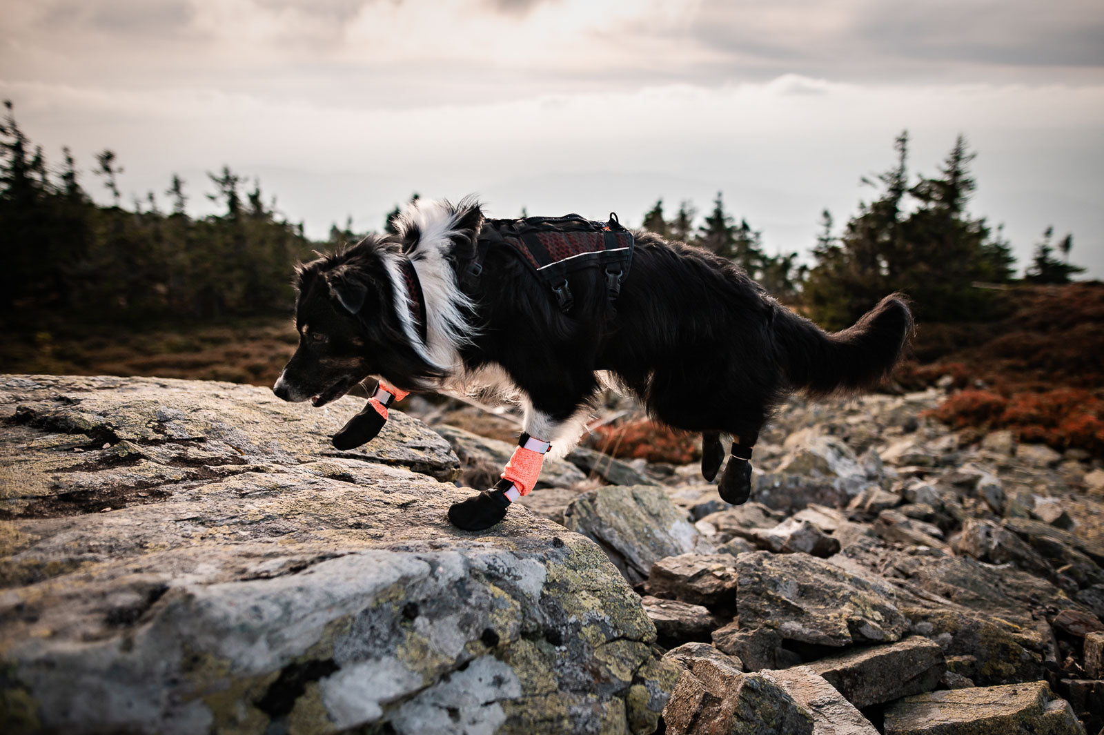 Protector bootie high (1)