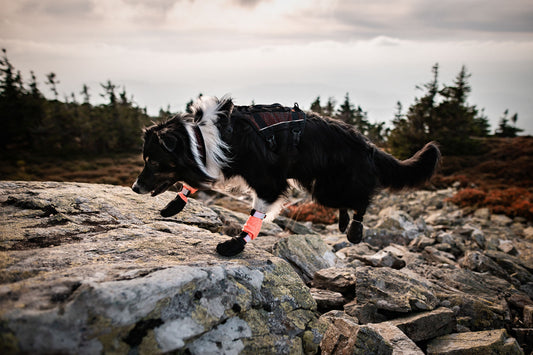 Protector bootie high (1)