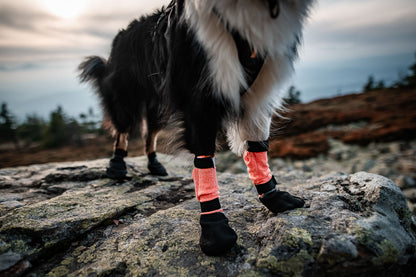 Protector bootie high (2)