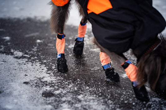 Protector bootie high (1)