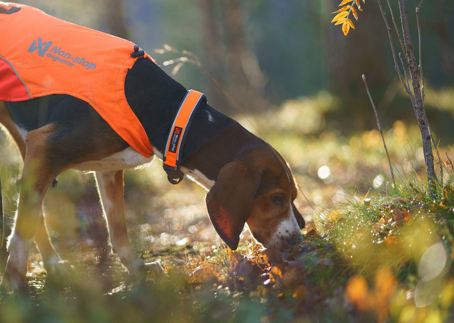 Protector collar (4)