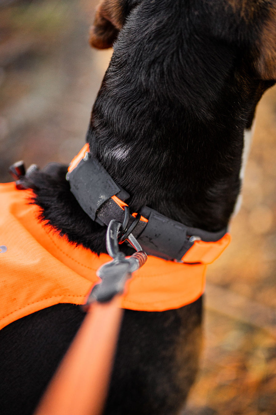 Protector collar (2)