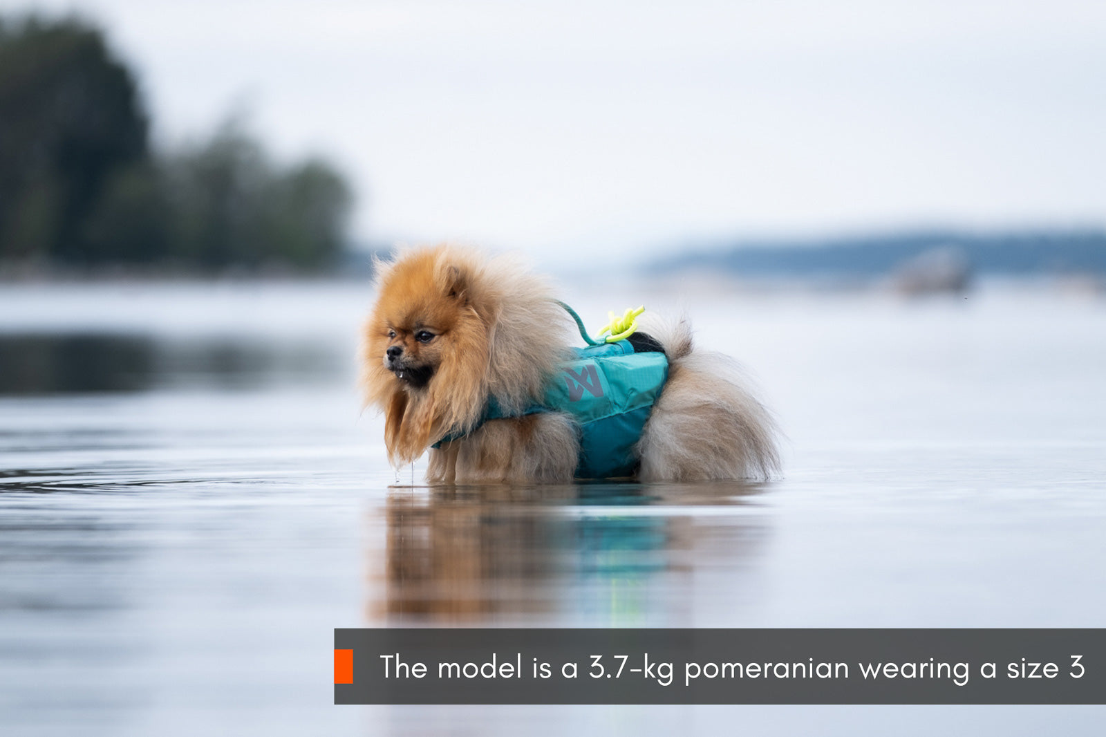 Protector life jacket (4)