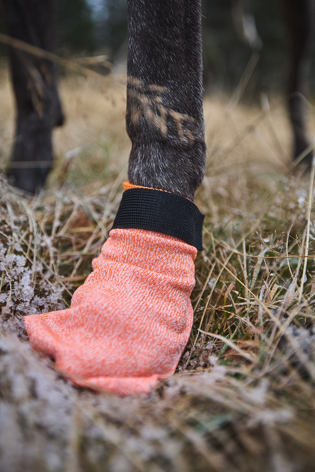 Protector light socks